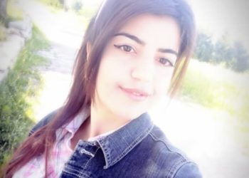 على قميصك يا وطني /رولاي مرهج