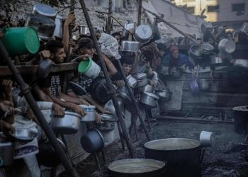 غزة تموت جوعا/رباب سليمان