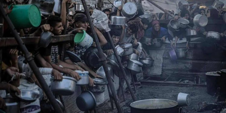 غزة تموت جوعا/رباب سليمان