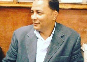 السيرة الذاتية والأدبية للأديب ناصر رمضان عبد الحميد