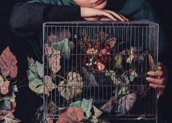 الشعر ذوق وأناقة /زينب جفال