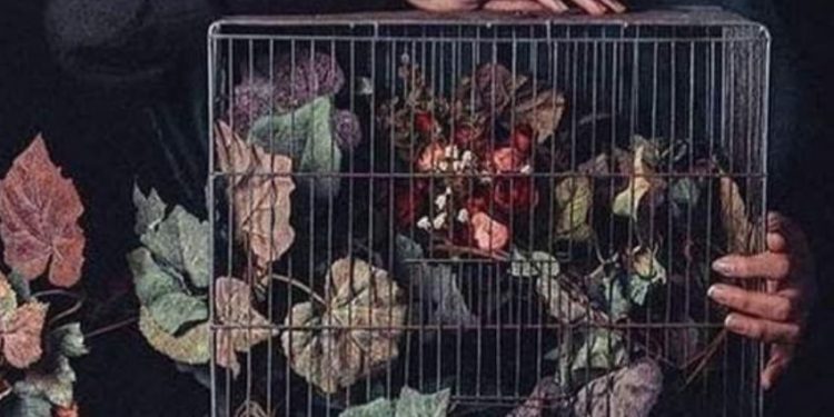 الشعر ذوق وأناقة /زينب جفال