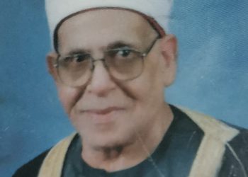 الشيخ محمد السنرواي رجل الظل بقلم ناصر رمضان عبد الحميد