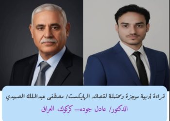 قراءة أدبية موجزة ومحتملة لقصائد الهايكست/ مصطفى عبدالملك الصميدي