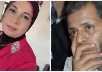 قراءة نقدية تحليلية لقصيدة قريتي للشاعر محمد صوالحة بقلم د. زبيدة الفول