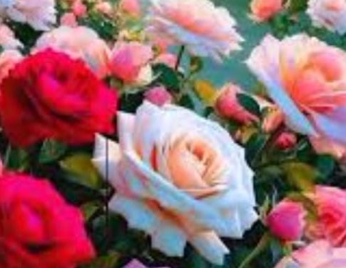 شذرة شعرية /بهية الطشم