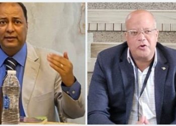 ذو القلم الذهبي الأديب ناصر رمضان عبد الحميد بقلم عبدالله الحضري