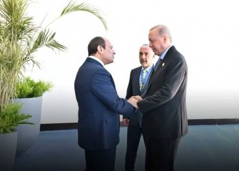 عبقرية السيسي في إدارة الأزمات/ناصر رمضان عبد الحميد