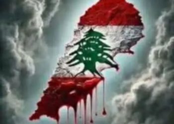 زائر برتبة وطن /جنان خريباني