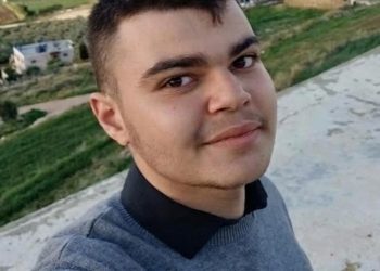 الحرب والسلام /حسن الدهيبي/لبنان