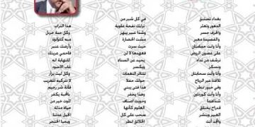 الأديب ناصر رمضان عبد الحميد في سطور