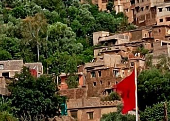 الفن في خدمة الإنسانية /فوزية جعيدي